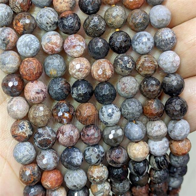 Natural Coral Fossil Beads Faceted Round Multicolor