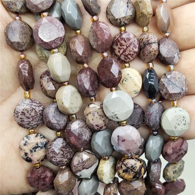 Natural Chohua Jasper Beads Faceted Circle