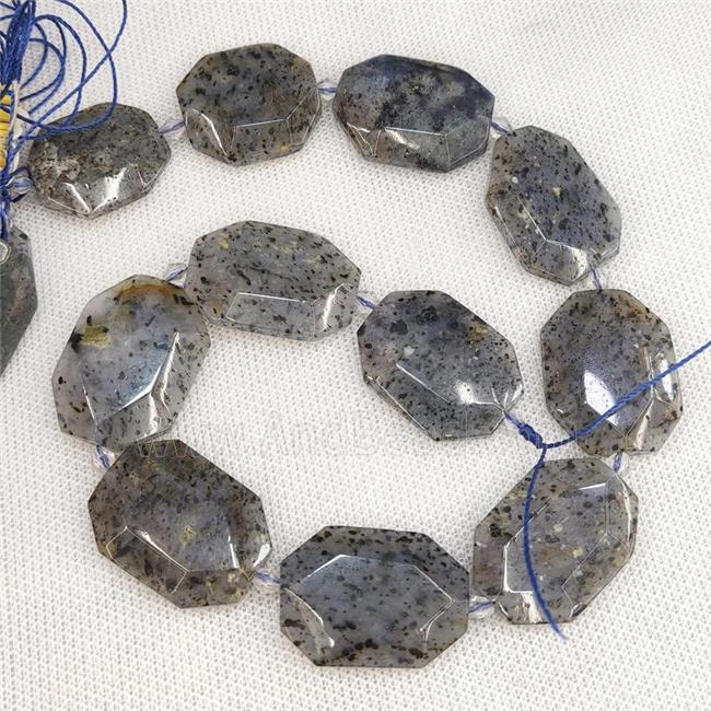 Sesame Quartz Slice Beads Gray Spot