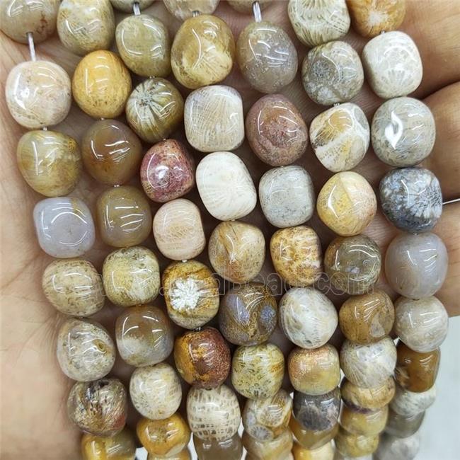 Natural Coral Fossil Beads Freeform Chip
