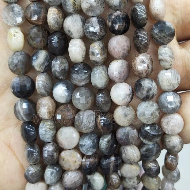 Natural Black Sunstone Beads Faceted Circle