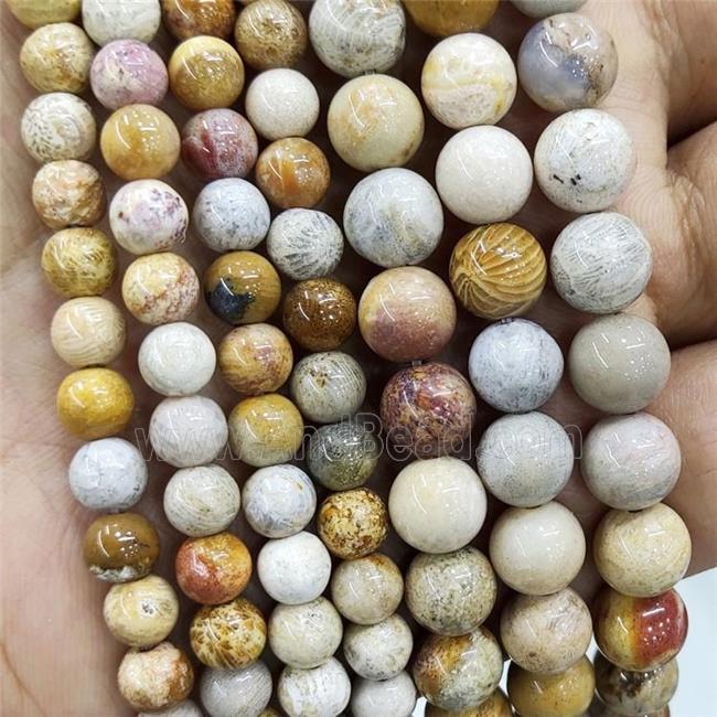 Natural Coral Fossil Beads Yellow Chrysanthemum Jasper Smooth Round