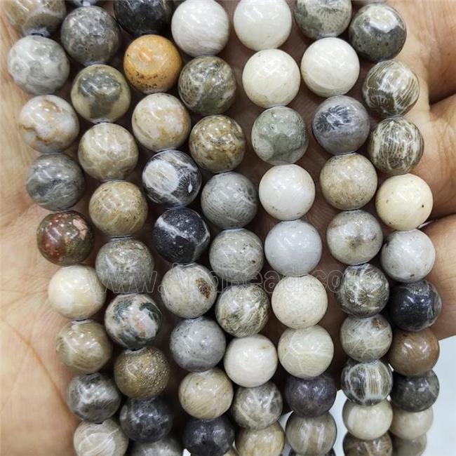 Natural Coral Fossil Beads Smooth Round