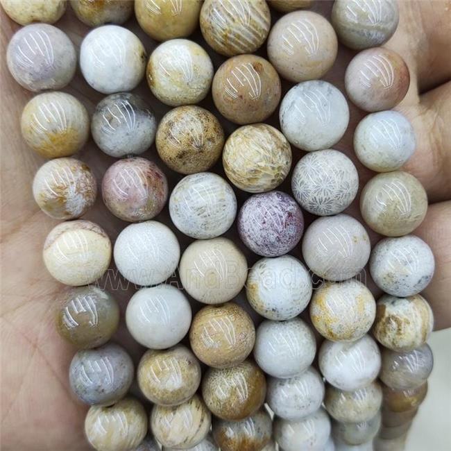 Natural Coral Fossil Beads Yellow Smooth Round