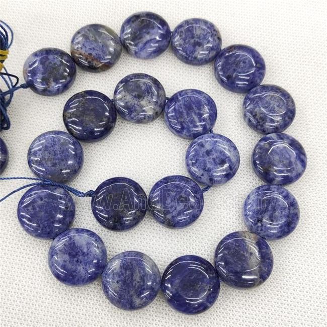 Natural Blue Sodalite Beads Circle