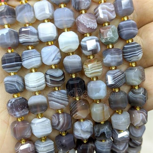 Natural Botswana Agate Beads Gray Faceted Cube
