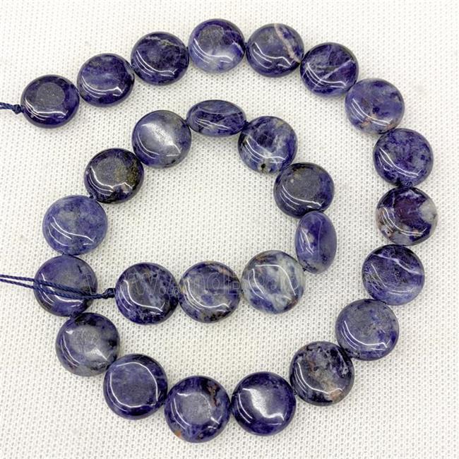 Natural Blue Sodalite Coin Beads