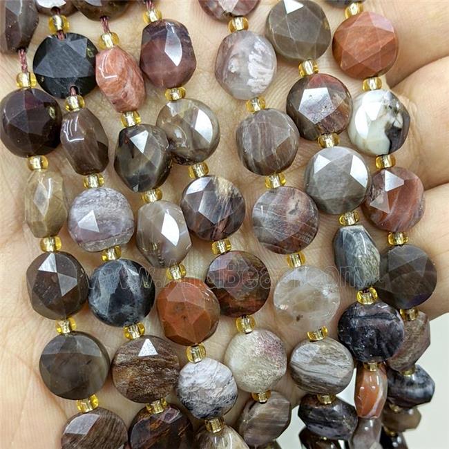 Natural Wood Petrified Jasper Beads Multicolor Faceted Coin