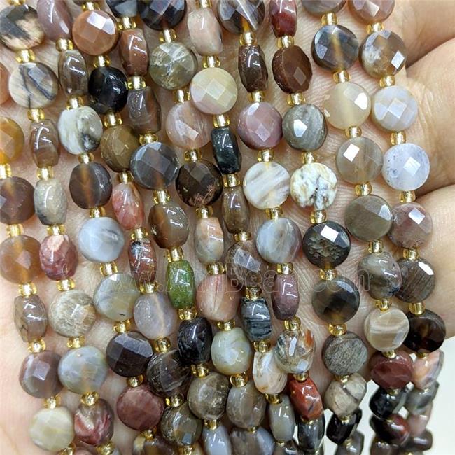 Natural Wood Petrified Jasper Beads Faceted Coin
