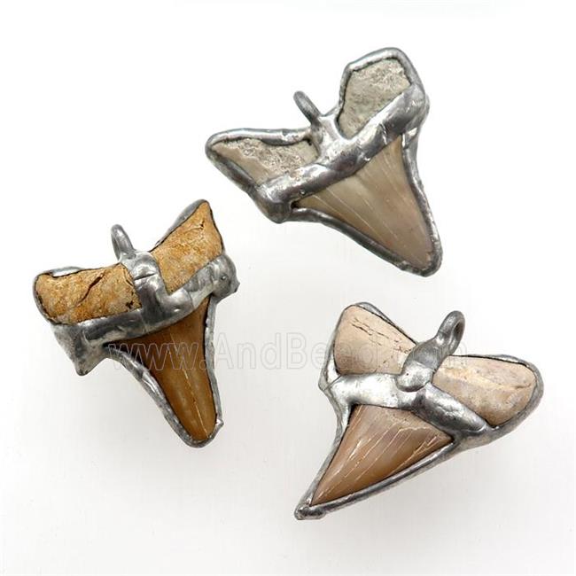 sharktooth pendant