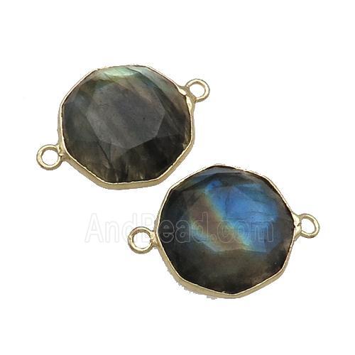 Labradorite Connector Polygon Gold Plated