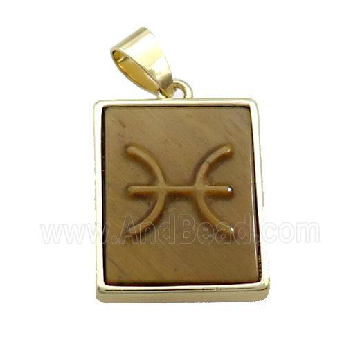 Natural Tiger Eye Stone Pendant Zodiac Pisces Rectangle Gold Plated