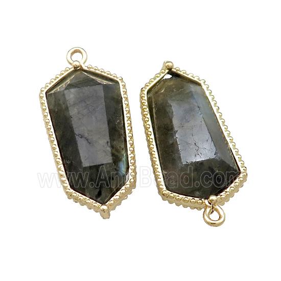 Natural Labradorite Prism Pendant Gold Plated
