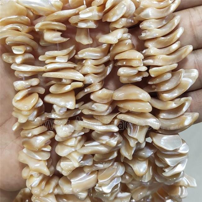 Coffee Sea Shell Beads Freeform Natural Color