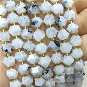 Natural White Moonstone Beads Cut Bicone, approx 8-10mm