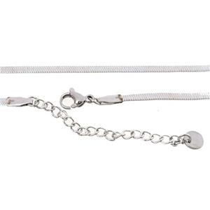 stainless steel necklace Chain, snakeskin, platinum plated, approx 2.5mm, 40-45cm length
