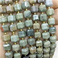 Natural Silver Leaf Jasper Beads Green Faceted Cube, approx 8-9mm