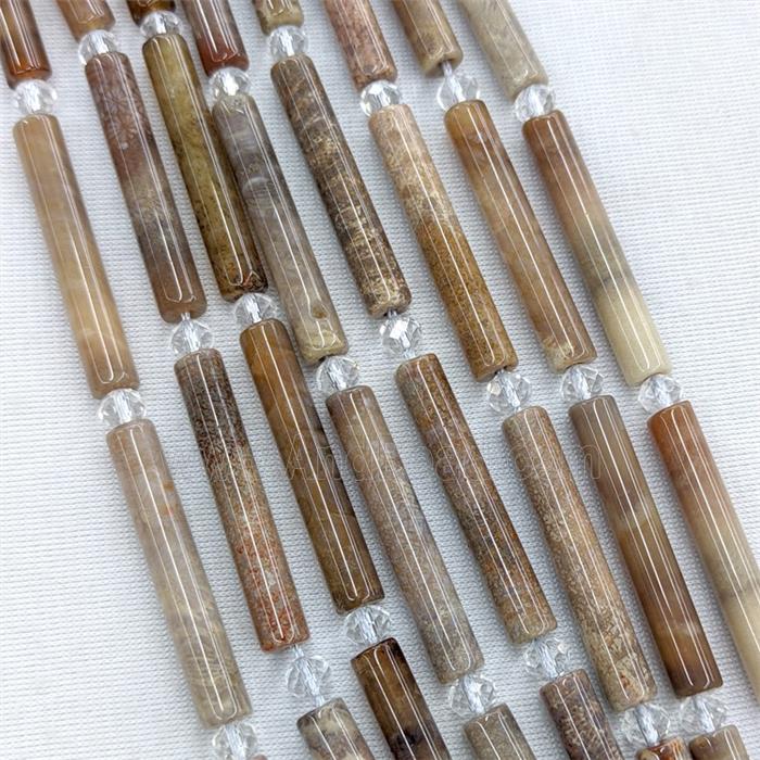 Natural Coral Fossil Column Beads Tube