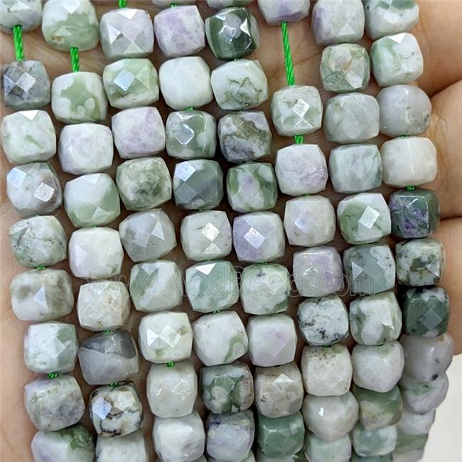 Natural Green Peace Jasper Beads Faceted Cube