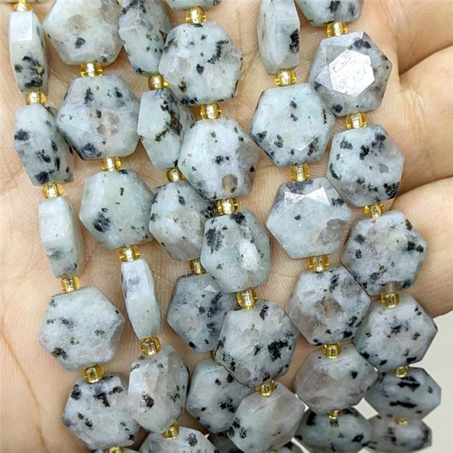 Natural Kiwi Jasper Hexagon Beads Faceted