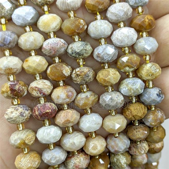 Natural Coral Fossil Beads Yellow Faceted Rondelle