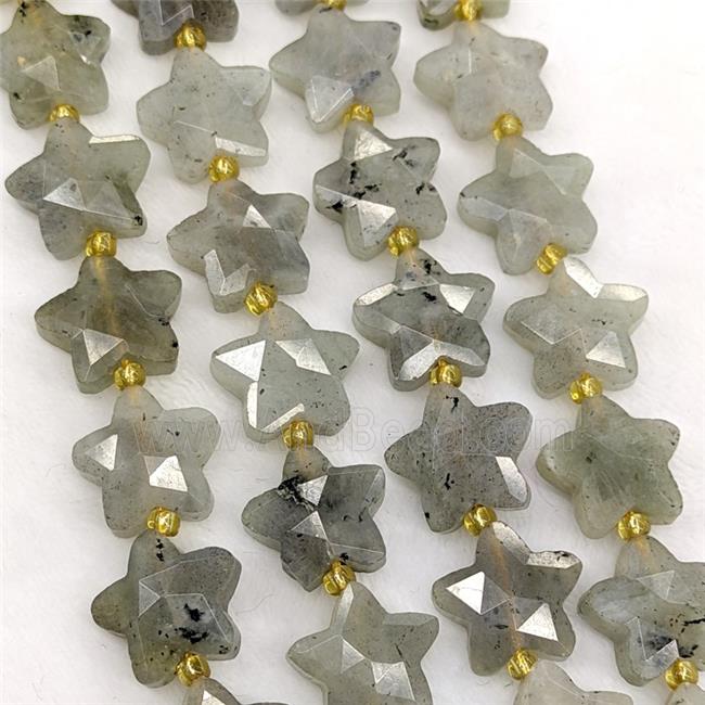 Natural Labradorite Star Beads Faceted