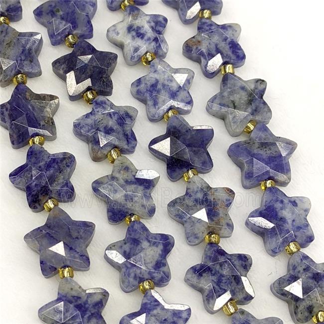 Blue Dalmatian Jasper Star Beads Faceted