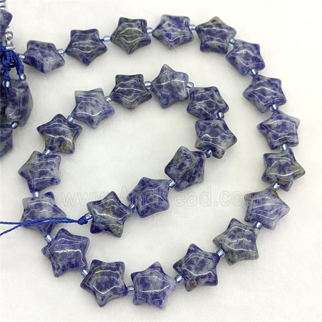 Natural Blue Dalmatian Jasper Star Beads