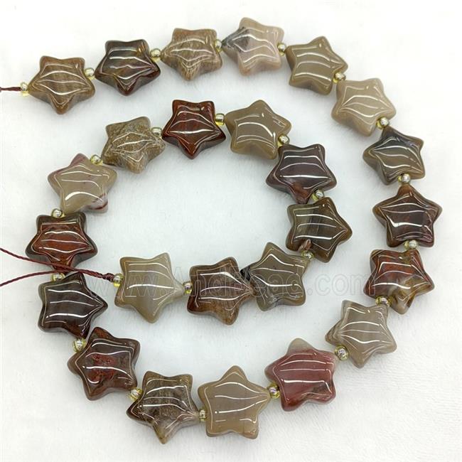 Natural Wood Petrified Jasper Star Beads