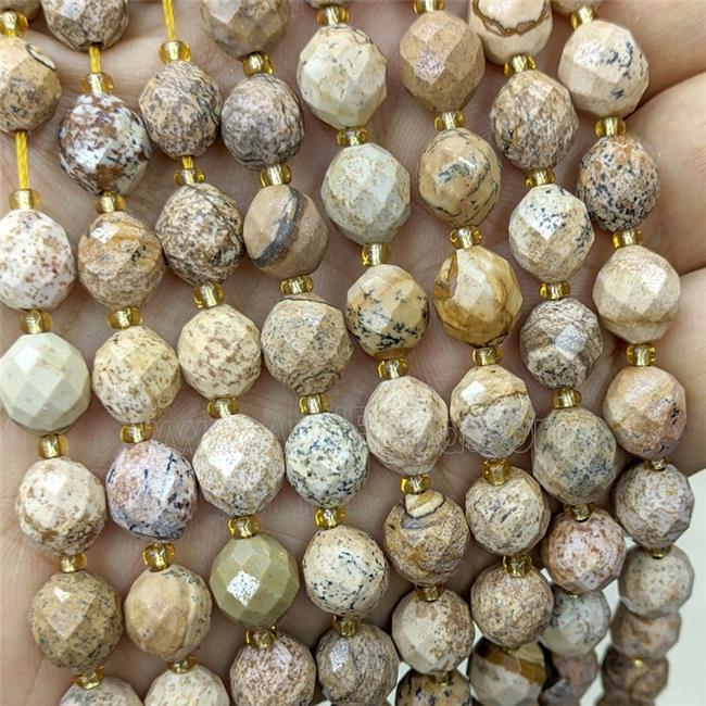 Natural Picture Jasper Beads Faceted Rice