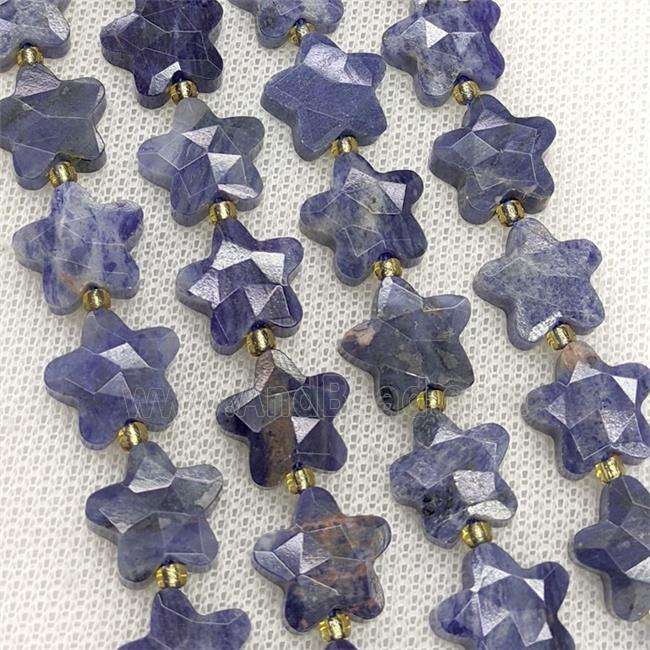 Natural Blue Sodalite Star Beads Faceted