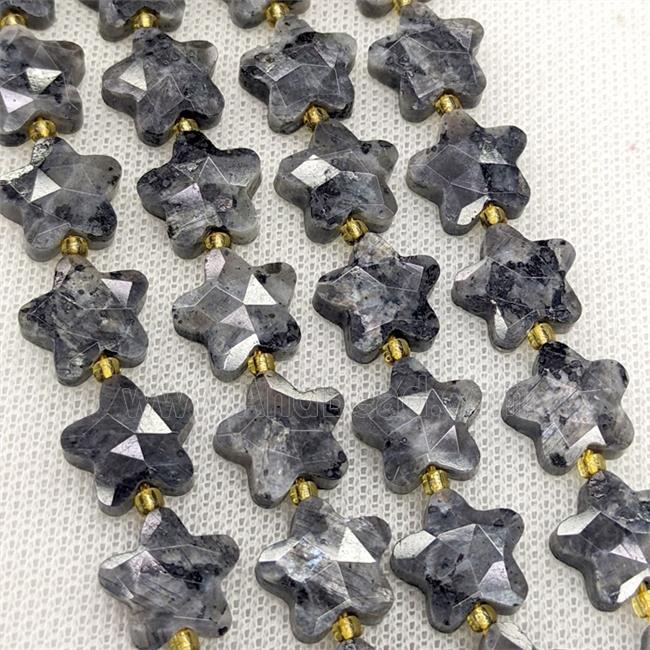 Natural Black Labradorite Star Beads Faceted