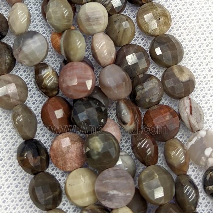 Natural Wood Petrified Jasper Beads Faceted Coin