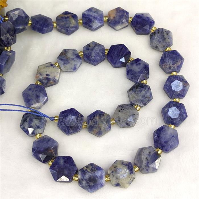 Natural Blue Sodalite Hexagon Beads Faceted