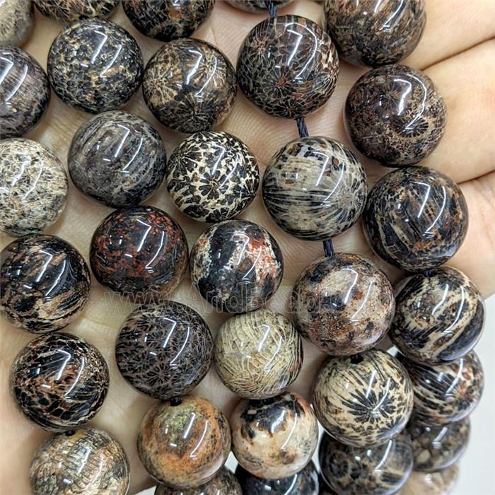 Natural Coral Fossil Beads Smooth Round Black Dye