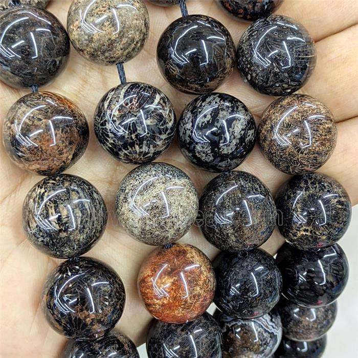 Natural Coral Fossil Beads Smooth Round Black Dye B-Grade