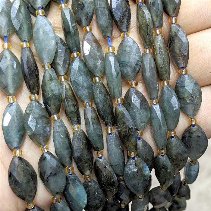 Natural Labradorite Horseeye Beads Faceted
