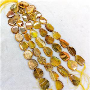 Natural Agate Slice Beads Freeform Yellow Dye, approx 20-40mm