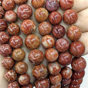 Red Coral Fossil Beads Smooth Round, approx 16mm