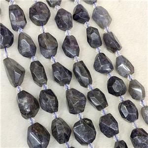 Natural Iolite Nugget Beads Faceted Freeform Inkblue, approx 12-20mm