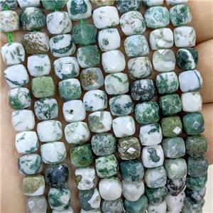 Natural Green Tree Agate Beads Faceted Cube, approx 6-8mm