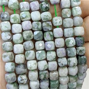 Natural Green Peace Jasper Beads Faceted Cube, approx 6-8mm