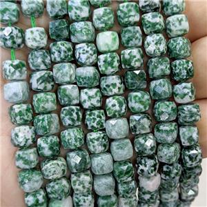 Natural Green Dalmatian Jasper Beads Faceted Cube, approx 6-8mm