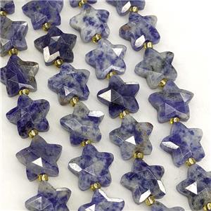 Blue Dalmatian Jasper Star Beads Faceted, approx 14mm