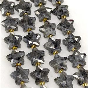 Natural Black Labradorite Star Beads Faceted, approx 14mm