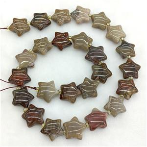 Natural Wood Petrified Jasper Star Beads, approx 15mm
