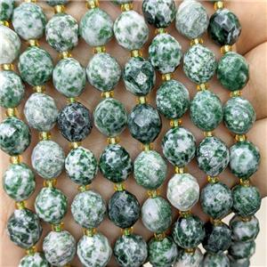 Natural Green Dalmatian Jasper Beads Faceted Rice, approx 8-10mm