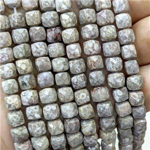Ammonite Fossil Beads Faceted Cube, approx 6-8mm