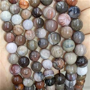 Natural Wood Petrified Jasper Beads Multicolor Smooth Round, approx 6mm