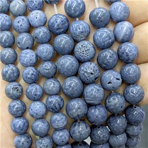 Blue Coral Fossil Beads Smooth Round, approx 10mm